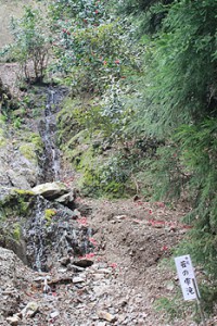 牛尾 苔の雫滝